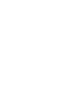 Rogueのロゴ